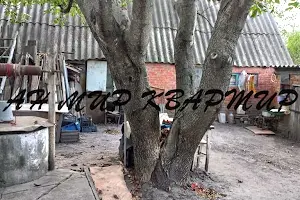будинок за адресою Шили, 100