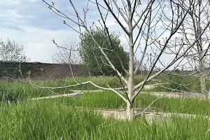 ділянка за адресою с. Лиманка, батів стицьковських