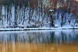 участок по адресу Молодіжна