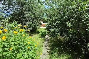 ділянка за адресою Висока вул., 7