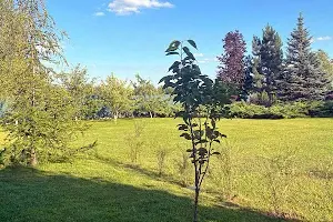 дом по адресу Чумацький шлях, 37
