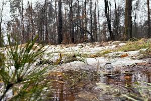 участок по адресу Котляревського, 53
