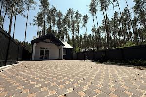 дом по адресу Центральная ул.