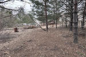 ділянка за адресою Старокиївська