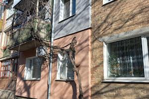 квартира за адресою Академіка Корольова вул., 30