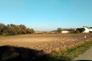 ділянка за адресою Нове Село вул.
