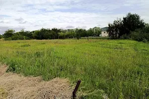 ділянка за адресою медова, 13