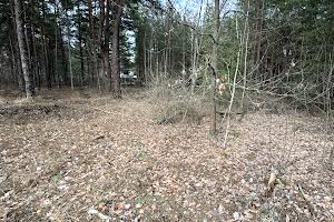 ділянка за адресою Провулок Садовий, 37