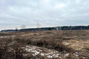 участок по адресу с. Михайловка-Рубежовка, Наталії Ужвіст, 42