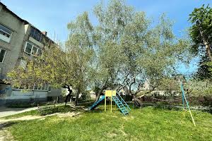квартира за адресою Володимира Стельмаха вул. (Курчатова), 54