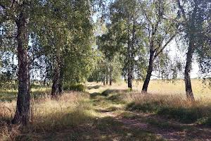 ділянка за адресою Павла Тичини, 7