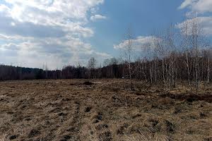 ділянка за адресою Лесі Українки, 59
