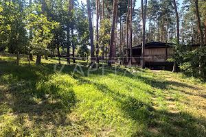 будинок за адресою Центральна