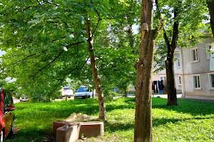 квартира за адресою Євгена Коновальця вул., 109
