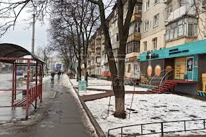 комерційна за адресою Воскресенський просп. (Перова), 22