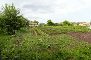 дом по адресу Головна, 76