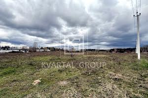 участок по адресу с. Дмитровка, Лісова, 1