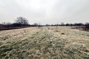 участок по адресу с. Баранинцы, Головна