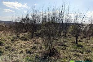 участок по адресу урочище За глибоким