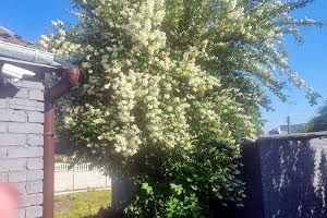 дом по адресу Силкіних