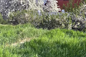 ділянка за адресою с. Лиманка, батів стицьковських
