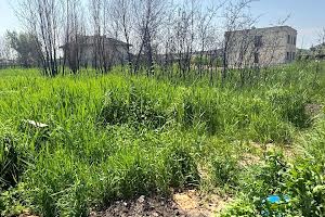 участок по адресу Виноградная ул., 27