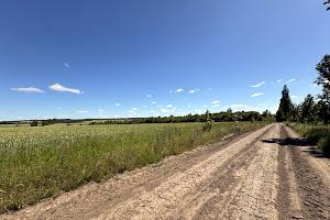 ділянка за адресою Підгорного, 20
