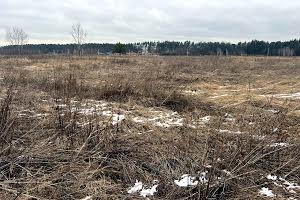 участок по адресу с. Михайловка-Рубежовка, Наталії Ужвіст, 42