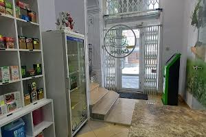 комерційна за адресою Головна вул., 101