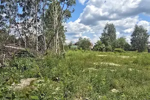 участок по адресу Світинська ул.
