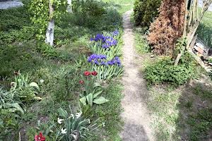 будинок за адресою смт. Стрижавка, Польова