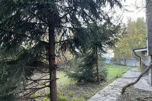 дом по адресу Киевская ул.