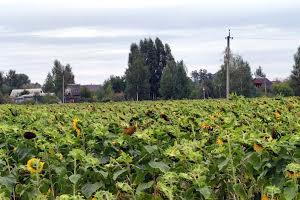 участок по адресу с. Загальцы, 2-га Лінія, 13/15