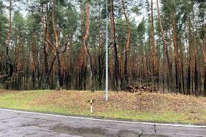 участок по адресу Озерная ул., 33