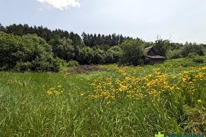 ділянка за адресою с. Рибне, 