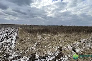 ділянка за адресою урочище Герегова долина