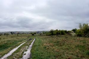 ділянка за адресою с. Марківці, 