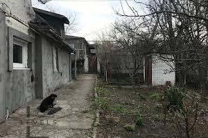 дом по адресу Покровская ул. (Покровского), 48