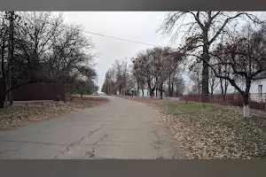 участок по адресу гоголя, 8