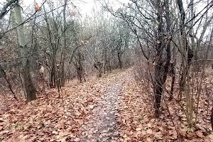 участок по адресу Лановая ул.