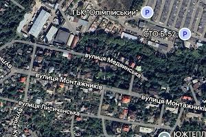 ділянка за адресою Медвинська вул., 18