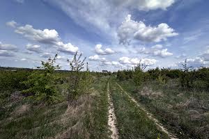 ділянка за адресою Багабунта