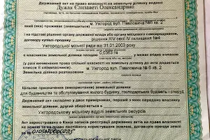 дом по адресу Павловича ул.