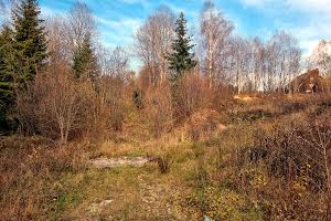 ділянка за адресою с. Орявчик, Князя Святослава вул.