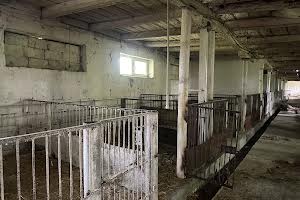 комерційна за адресою Миру, 7
