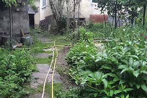 дом по адресу Федьковича пер.
