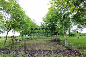 будинок за адресою Тараса Шевченка, 13А