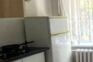 квартира за адресою Надії Алексєєнко вул. (Чичеріна), 20