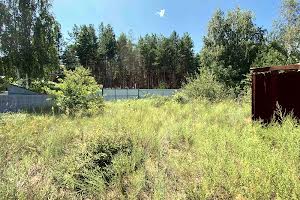 участок по адресу с. Пилиповичи, 