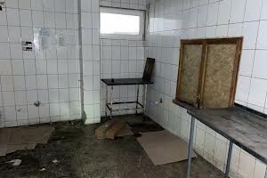 комерційна за адресою Мирослава Мисли вул. (Цілиноградська), 36а